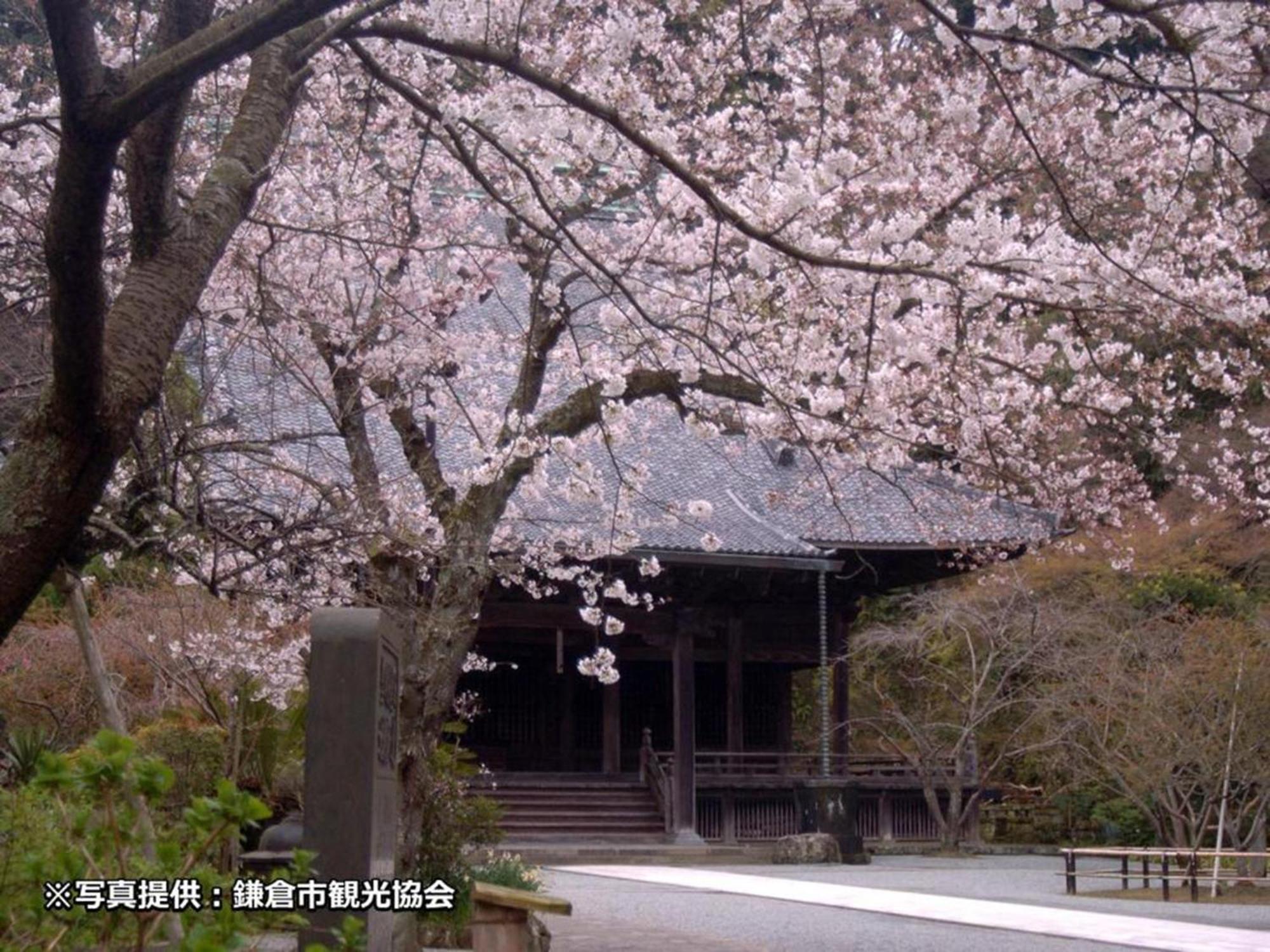 鎌倉プリンスホテル 鎌倉市 エクステリア 写真